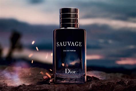 dior sauvage kopfnote|dior cologne perfume.